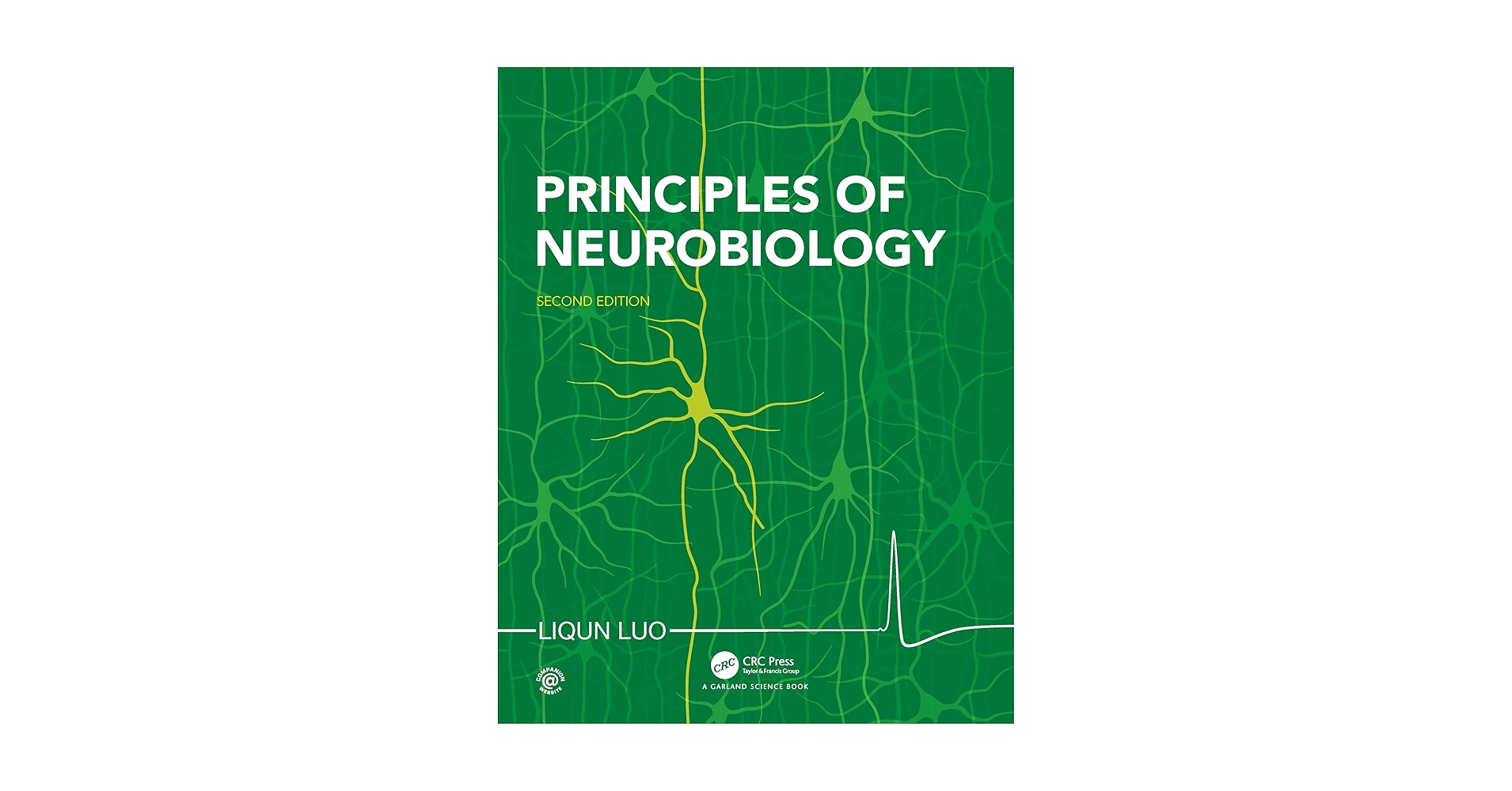 【新品未使用】Principles of Neurobiology Principles of Neurobiology: 9780815346050: Medicine & Health