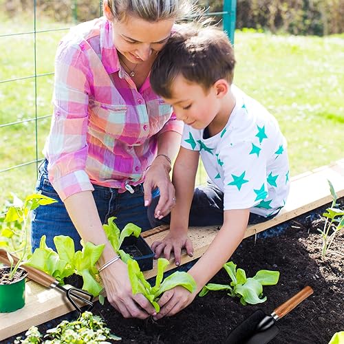 Miniatura 6 de Rukinovi - 3 herramientas de jardín, herramientas de jardinería ligeras, kit de herramientas manuales de jardinería para suculentas, plantas