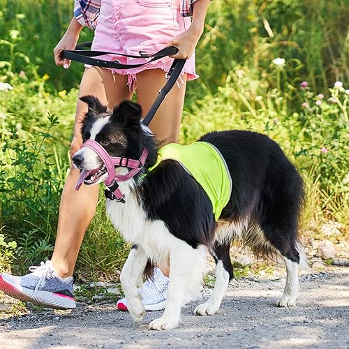 Miniatura 25 de Weesiber Collar suave para cabeza de perro, arnés ajustable para cabeza de perro, acolchado sin tirones, cuello halter con tira de seguridad Negro