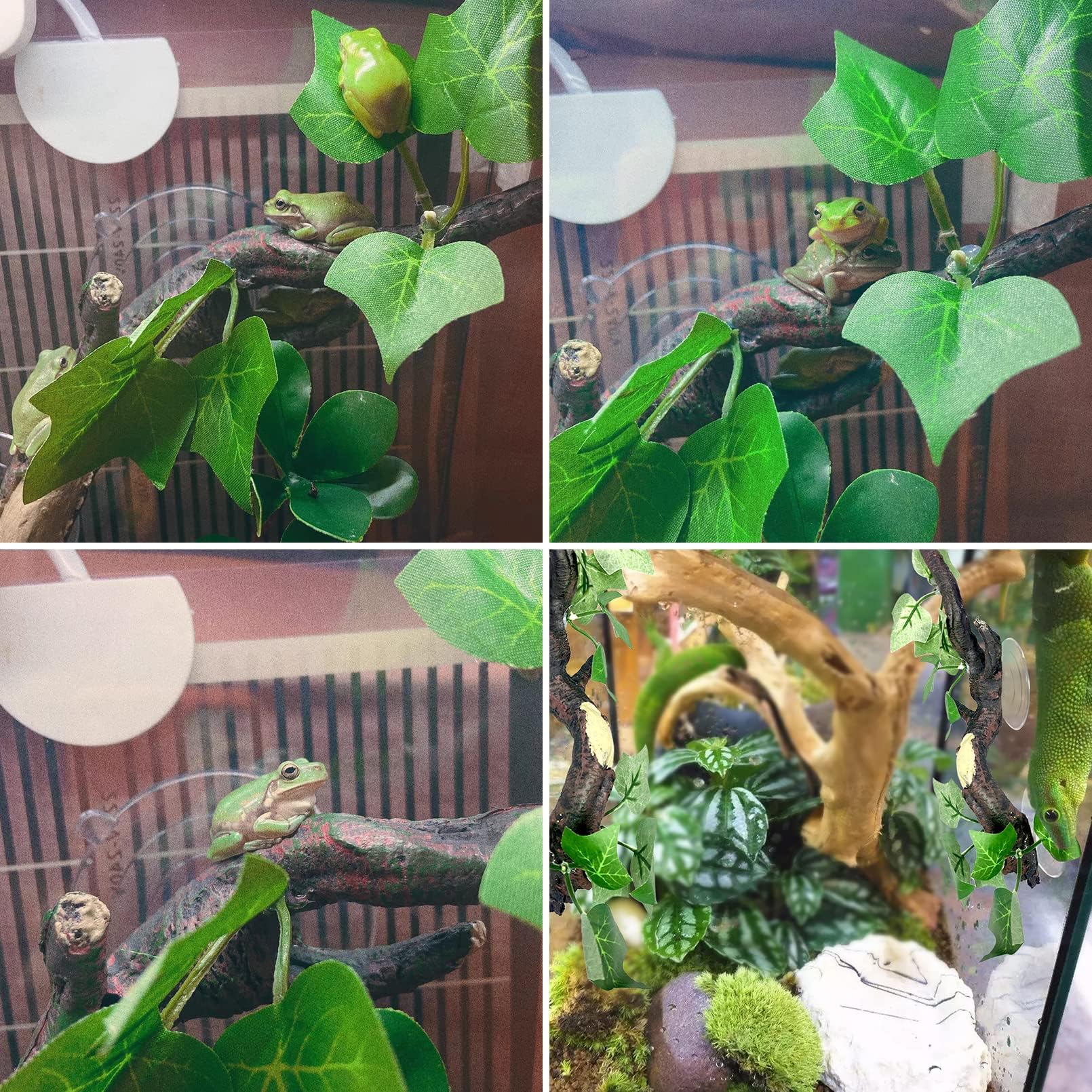 PINVNBY 2 PCS Reptile Corner Branch - Image 2