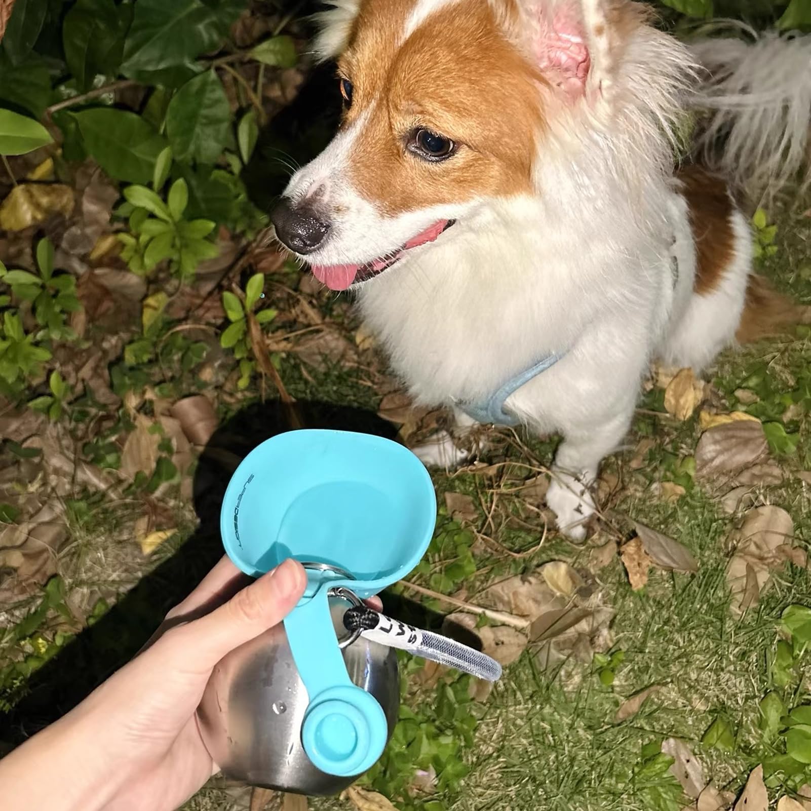 Botella para perros para viajes, 285 ml, de acero inoxidable, botella de agua con cuenco, para perros, portátil, de viaje, a prueba de fugas, botella compacta para perros para viajes (D) — view 9