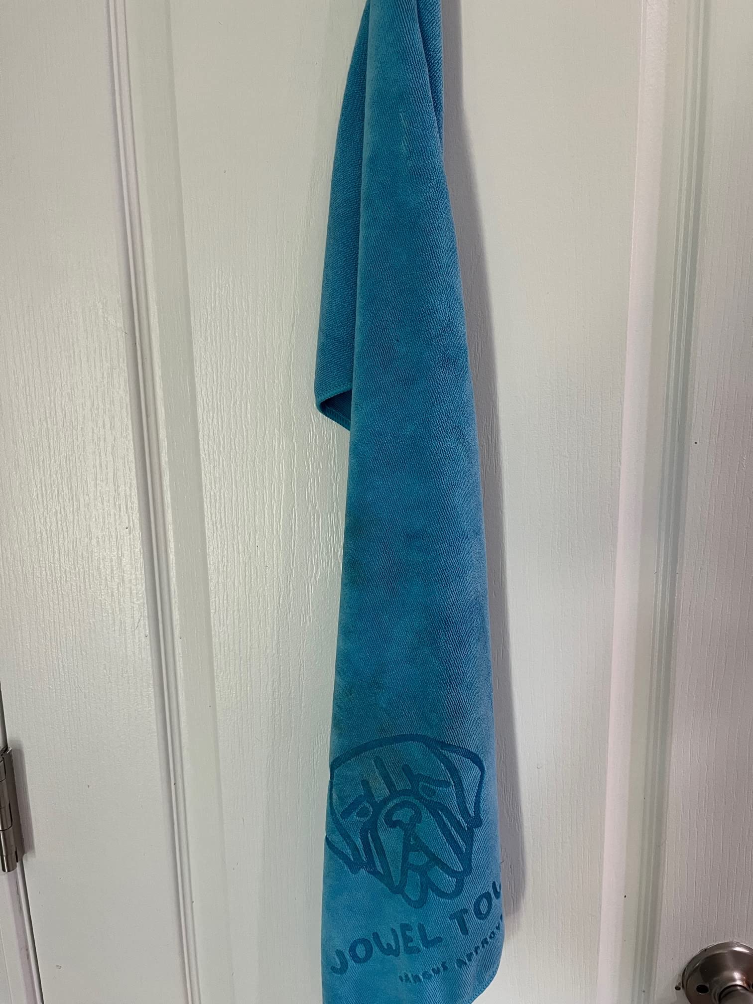 Amazon.com: Jowel Towel (Purple) : Pet Supplies