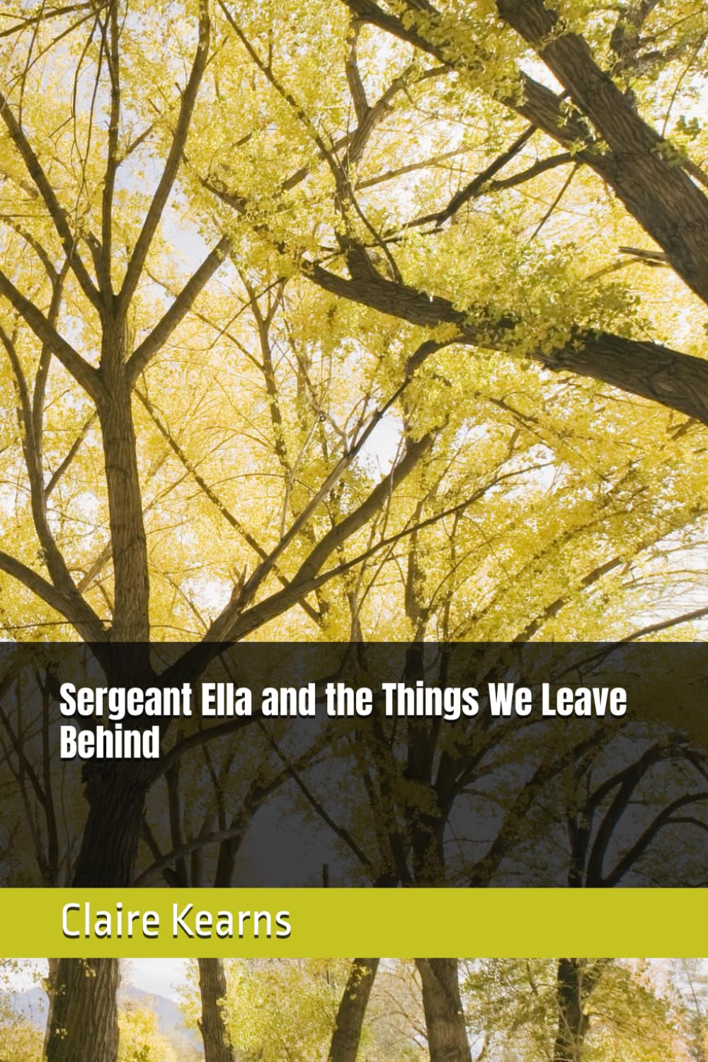 Sergeant Ella and the Things We Leave Behind
