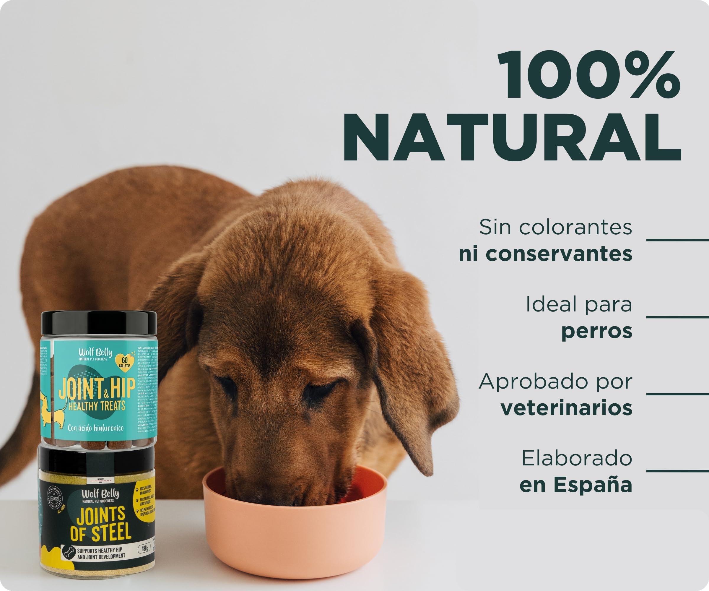 Wolf Belly - Pack Condroprotector para Perros | Suplemento Articular en Polvo + Galletas con Ácido Hialurónico | Articulaciones Fuertes | Antiinflamatorio - Hecho en Europa