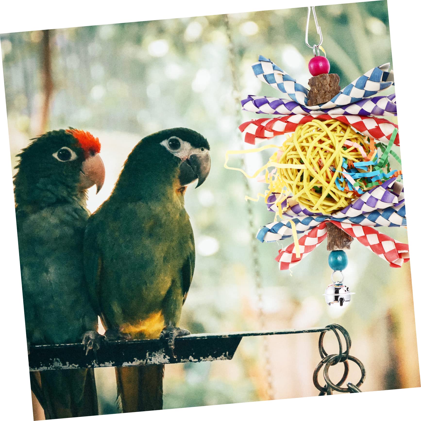 Angoily 2piezas Juguete para Aves Juguete Masticable para Loros y Periquitos Estimula Actividad Física y Combate La Soledad para Aves Pequeñas y Medianas