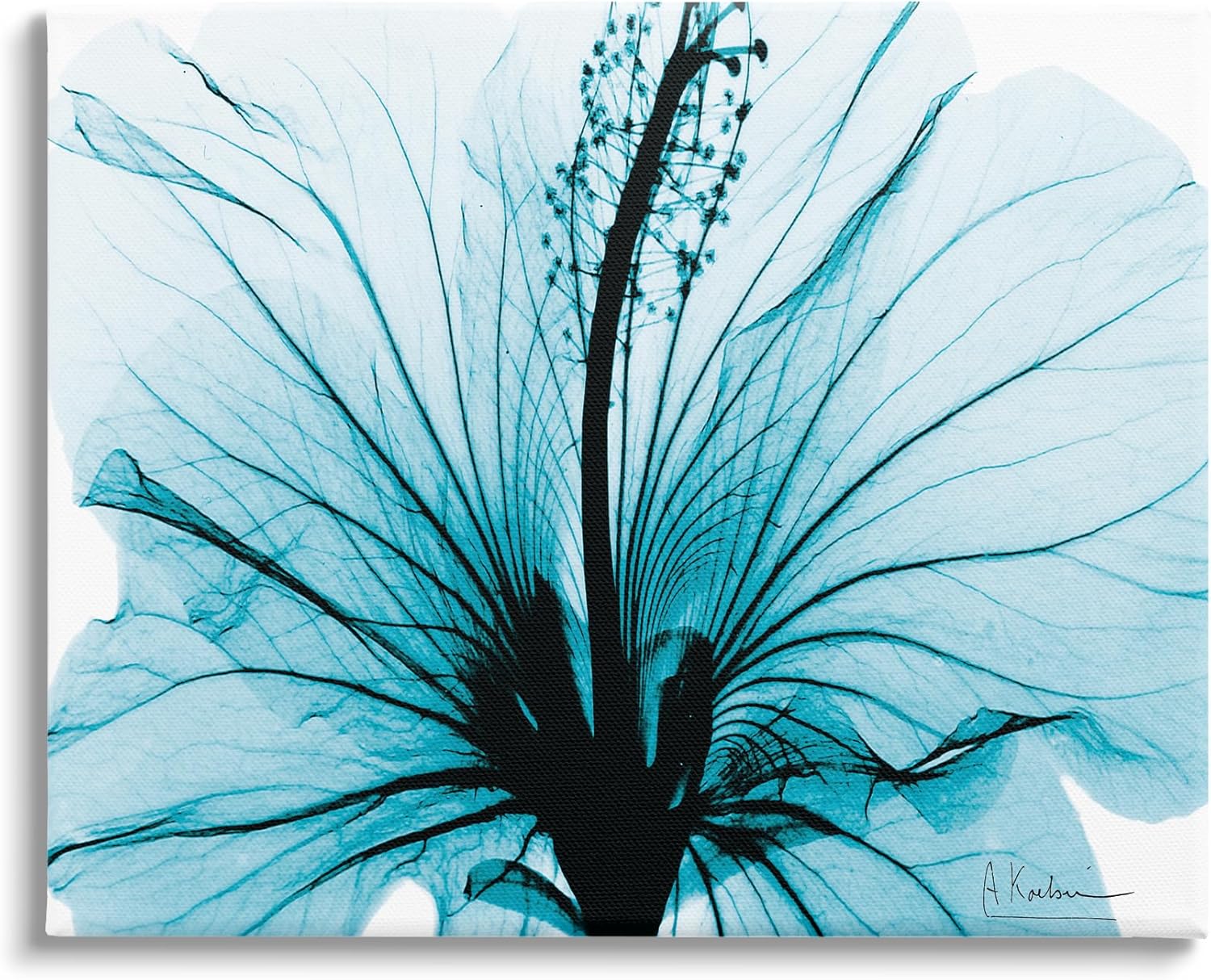 Stupell Industries Blue Flower X-Ray Canvas Wall Art by Albert Koetsier