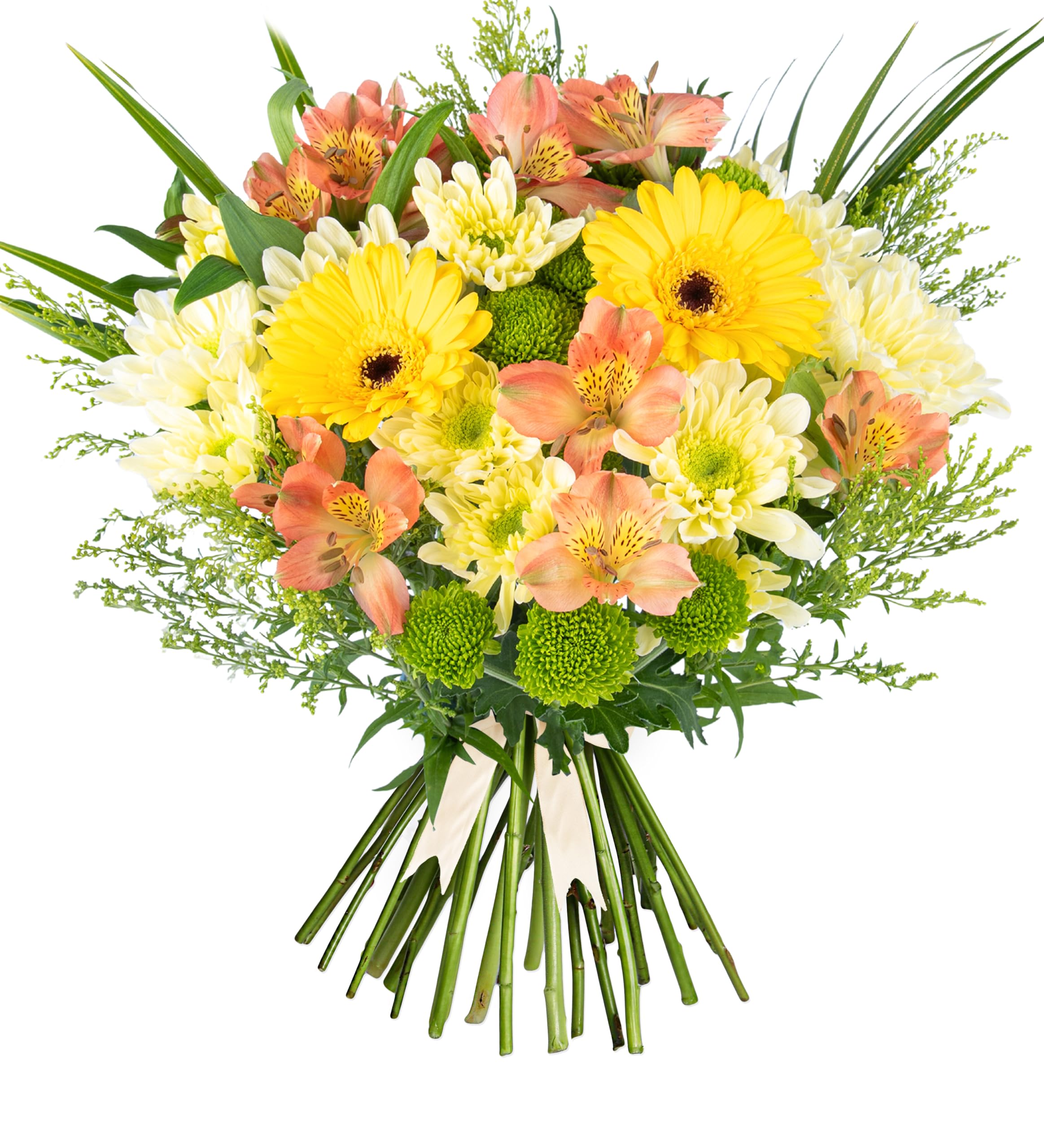 Seasons Joy - Fresh Flowers - Birthday, Anniversary, Get Well, Thank You, Occasion Flower - Cut Floral Arrangement for Gifts, Weddings, Sympathy, Celebrations, Mothers day (Medium)