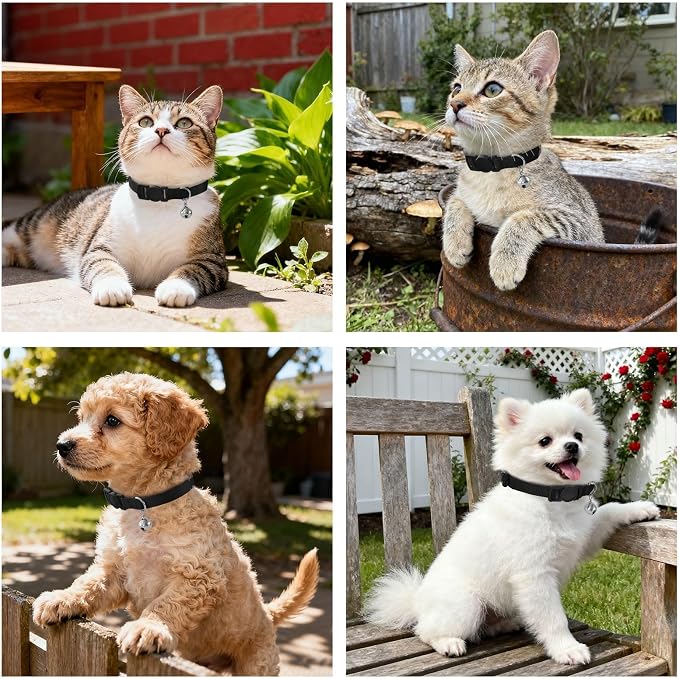 2 Collares para Perros Pequeños Medianos Ajustables Suaves Negro con Hebilla miniatura 7
