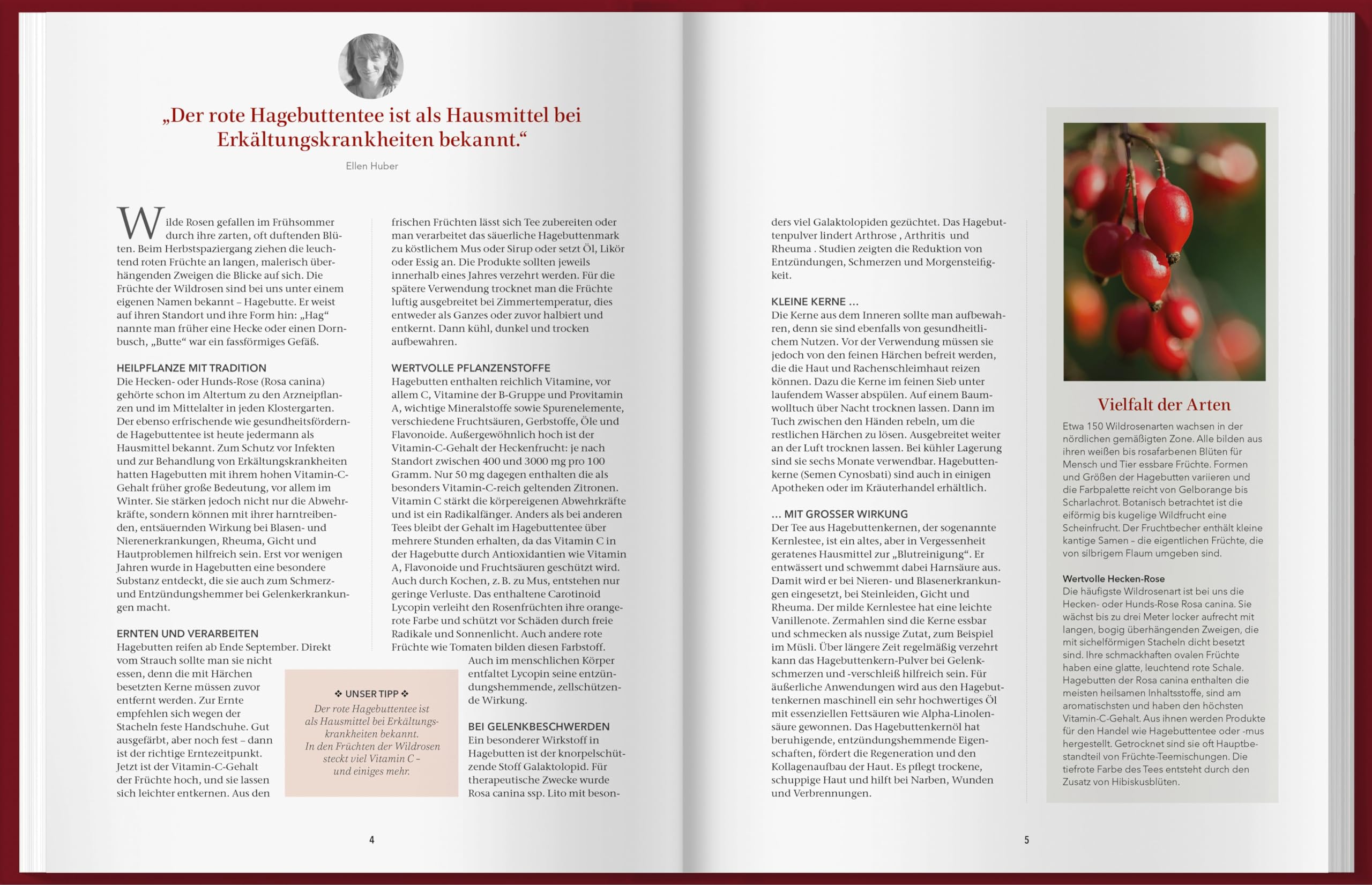 Landlust Naturapotheke: Naturrezepte für Gesundheit und Wohlbefinden – Herbst und Winter. Mit den Heilkräften der Natur gestärkt durch die kalte Jahreszeit. Tipps zu Heilpflanzen und ihrer Anwendung.