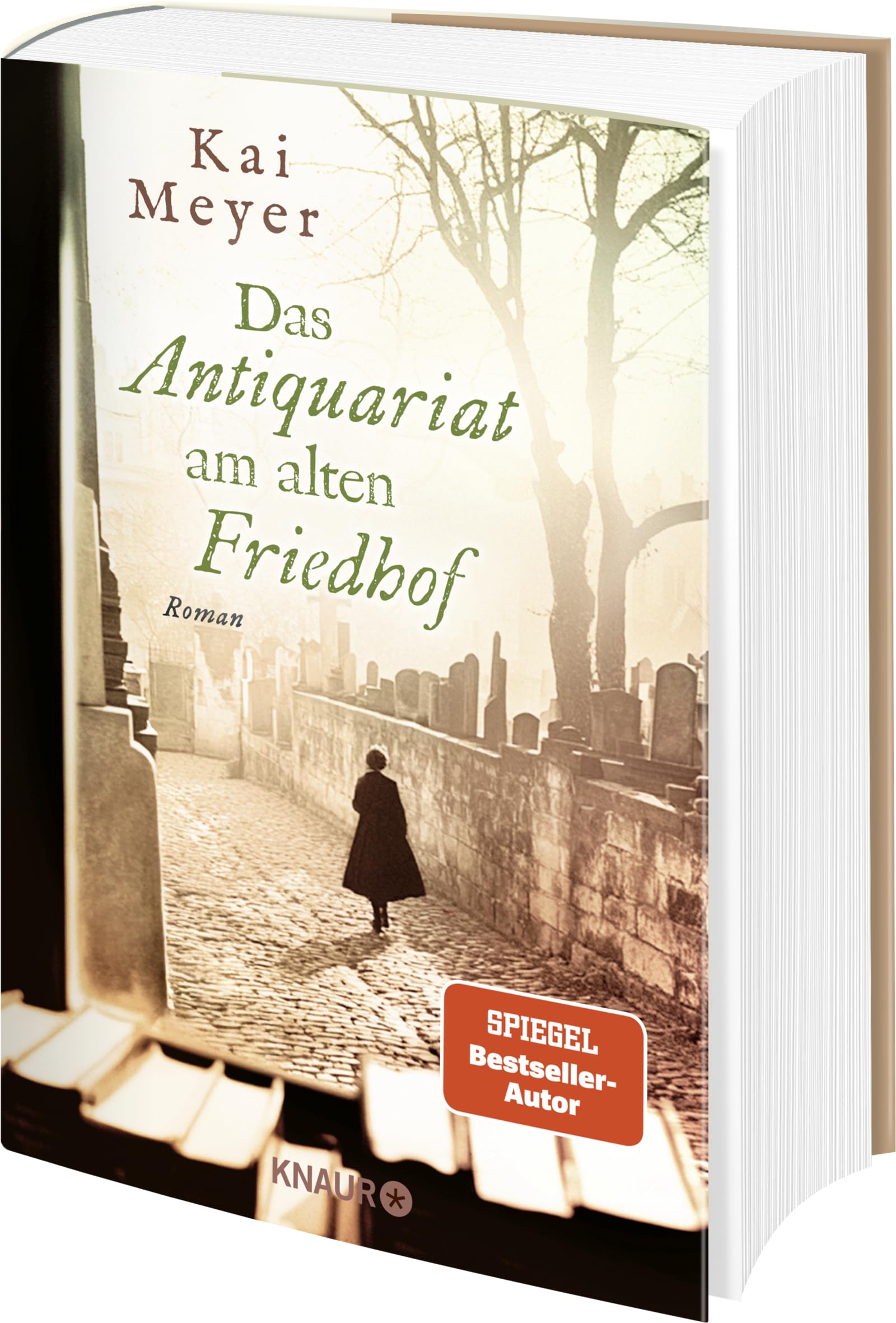 Das Antiquariat am alten Friedhof: Roman: 4