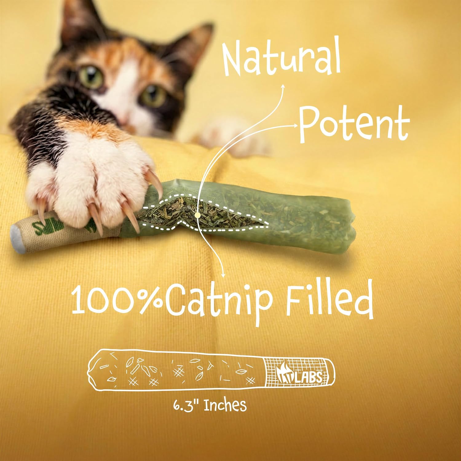 Image not found