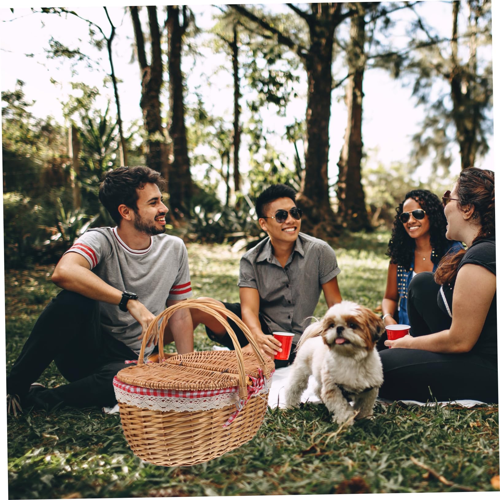 Happyyami Cestino da Picnic in Vimini Naturale con Doppia Maniglia e Coperchio Basket Intrecciato Rustico per Picnic all Aperto Campeggio Conservazione di Frutta e Verdura Dimensioni