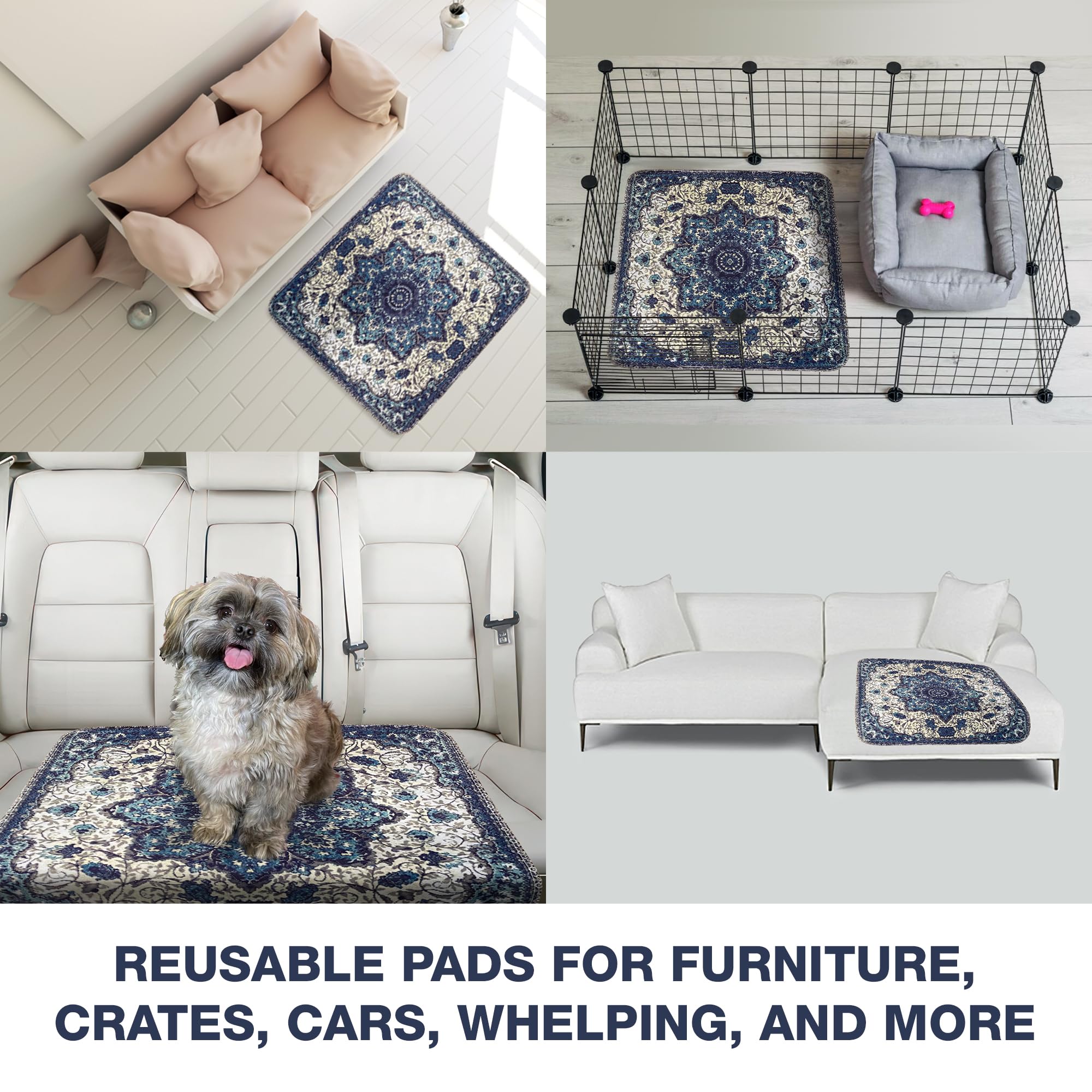 View 6