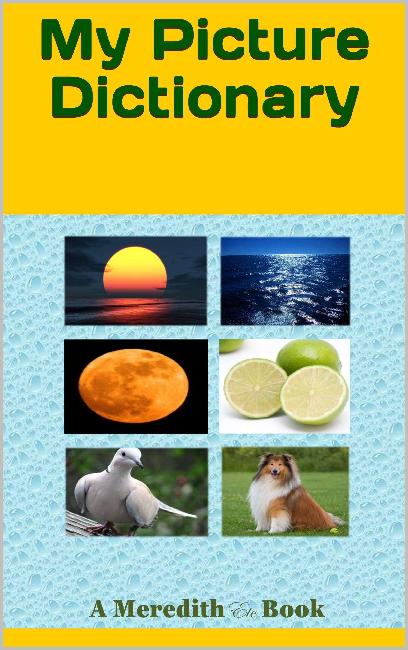 My Picture Dictionary