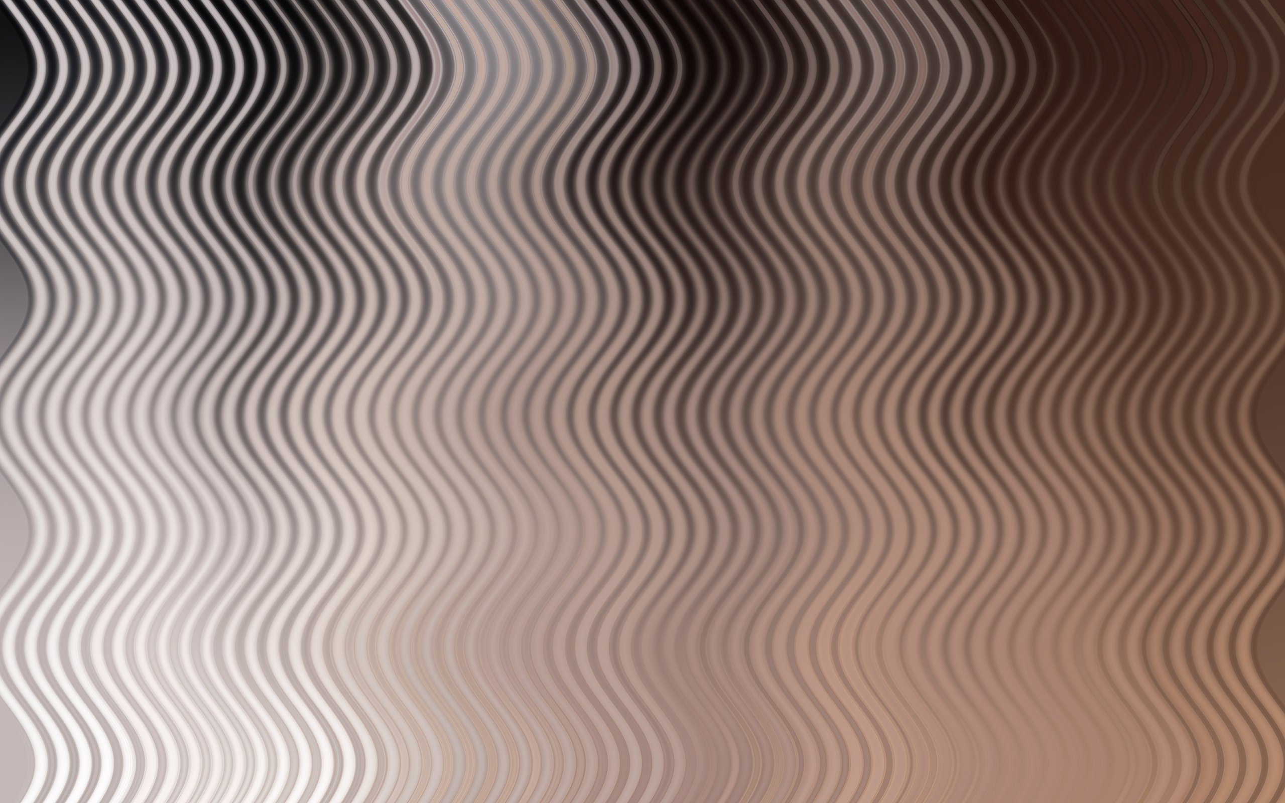 Sfondi fotograficos di diverse misure 150x210