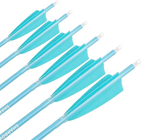 Miniatura 22 de Flechas de carbono de 31 pulgadas, flechas de caza de tiro con arco de color fluorescencia, 500 600 espina dorsal con plumas, flechas de práctica