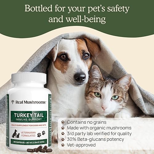 Miniatura 6 de Turkey Tail Pet Support - Multivitaminas y suplementos para perros para apoyo inmunológico, salud intestinal y bienestar - Suplemento para perros