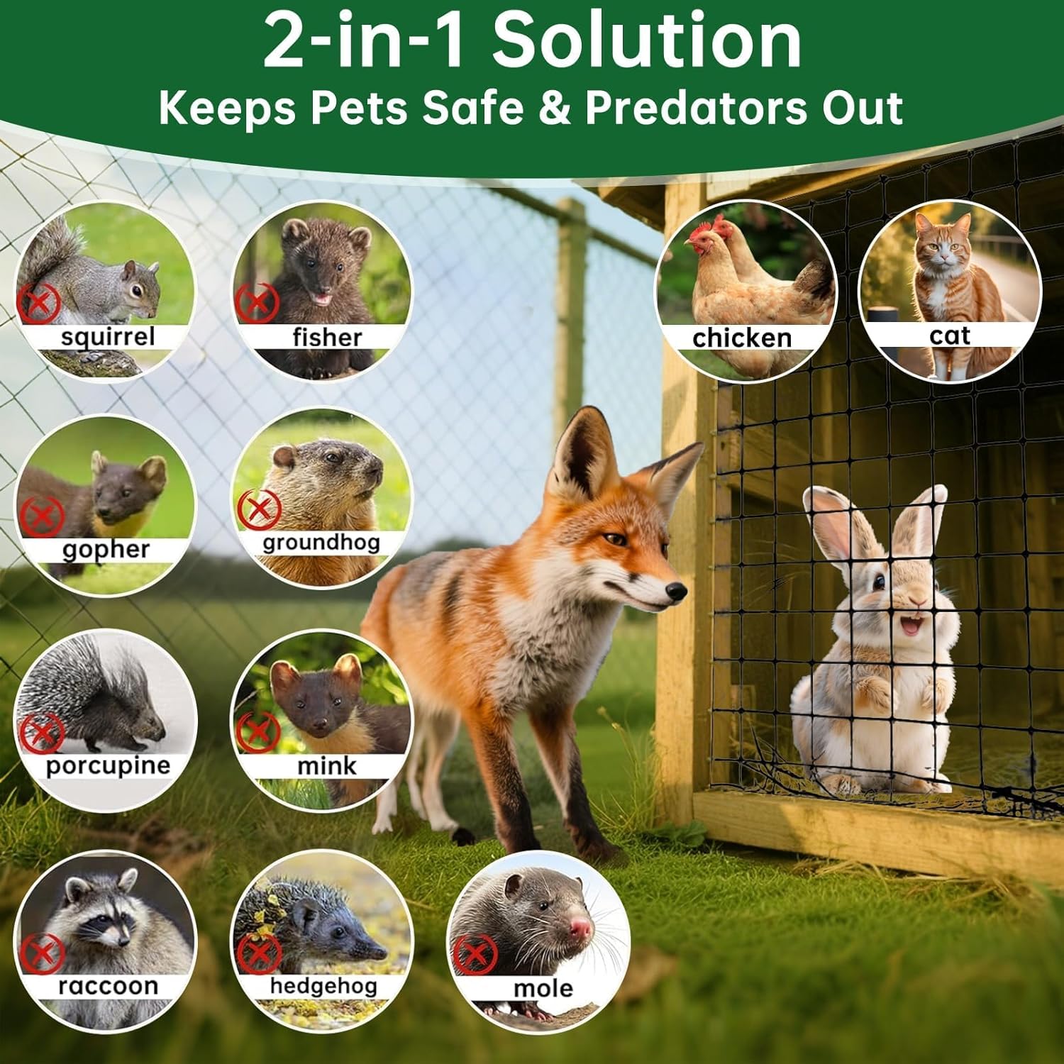 Amagabeli Black Hardware Cloth 1 x 1 inch 36inch x 50ft PVC Vinyl Coated Wire Mesh Roll Weld Wire Fence Chicken Wire 16 Gauge Garden Fence Chicken Coop Fencing Gopher Rabbit Tree Guard