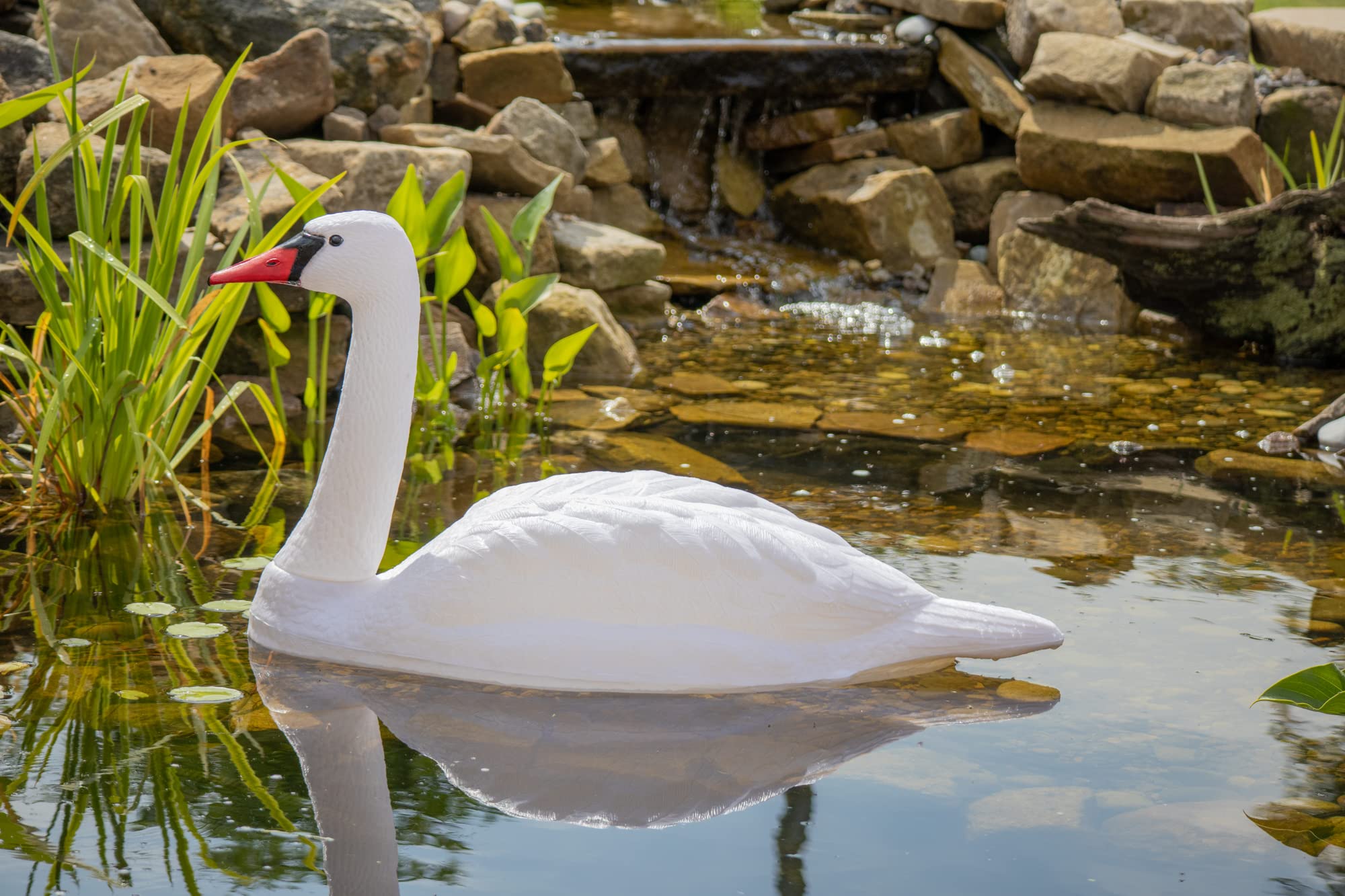 Floating White Mute Swan Decoy, Plastic 