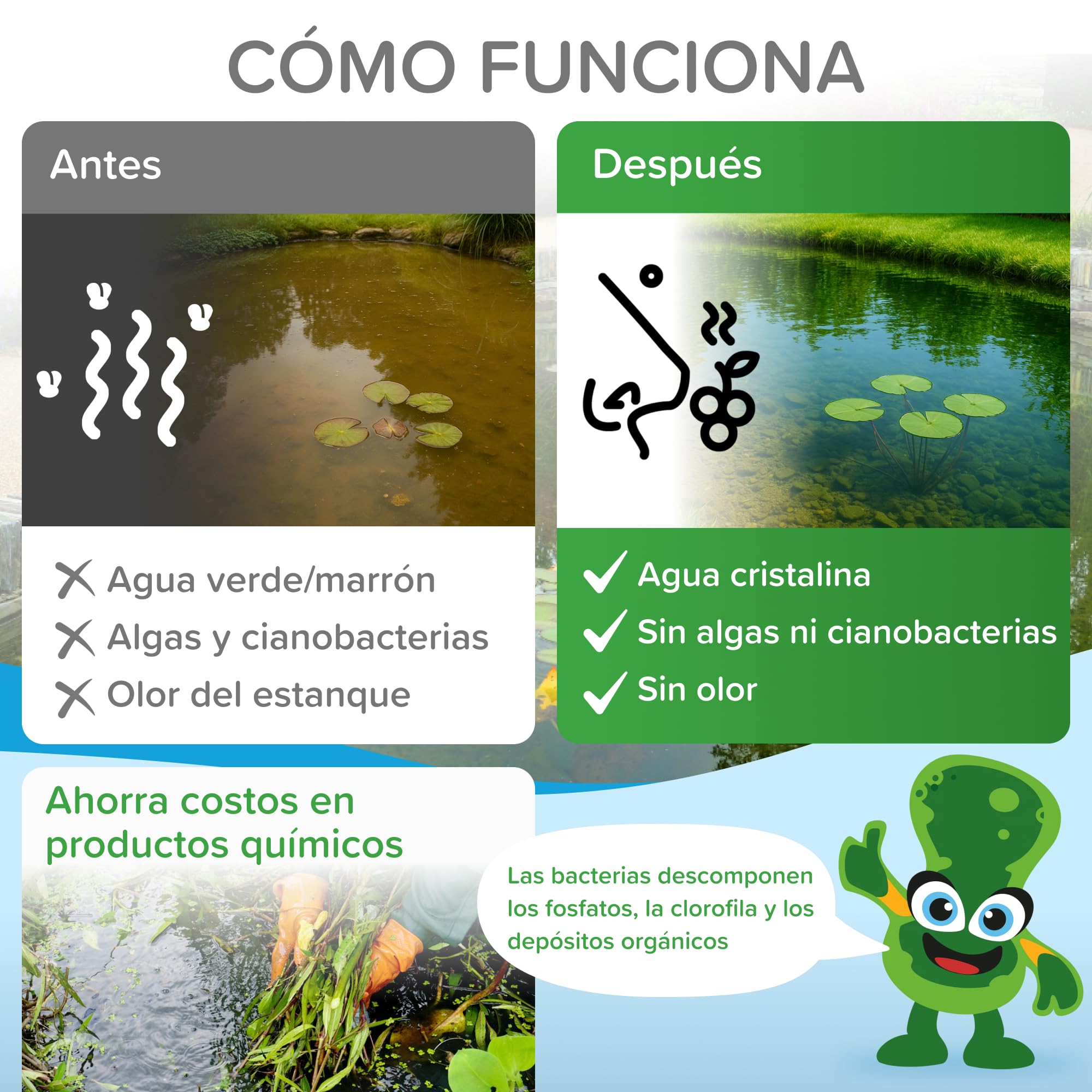 Limpiador de estanques de jardín, producto para el cuidado del estanque, clarificador de agua para limpiar el agua verde en el estanque de jardín, estanque de natación, estanque de peces