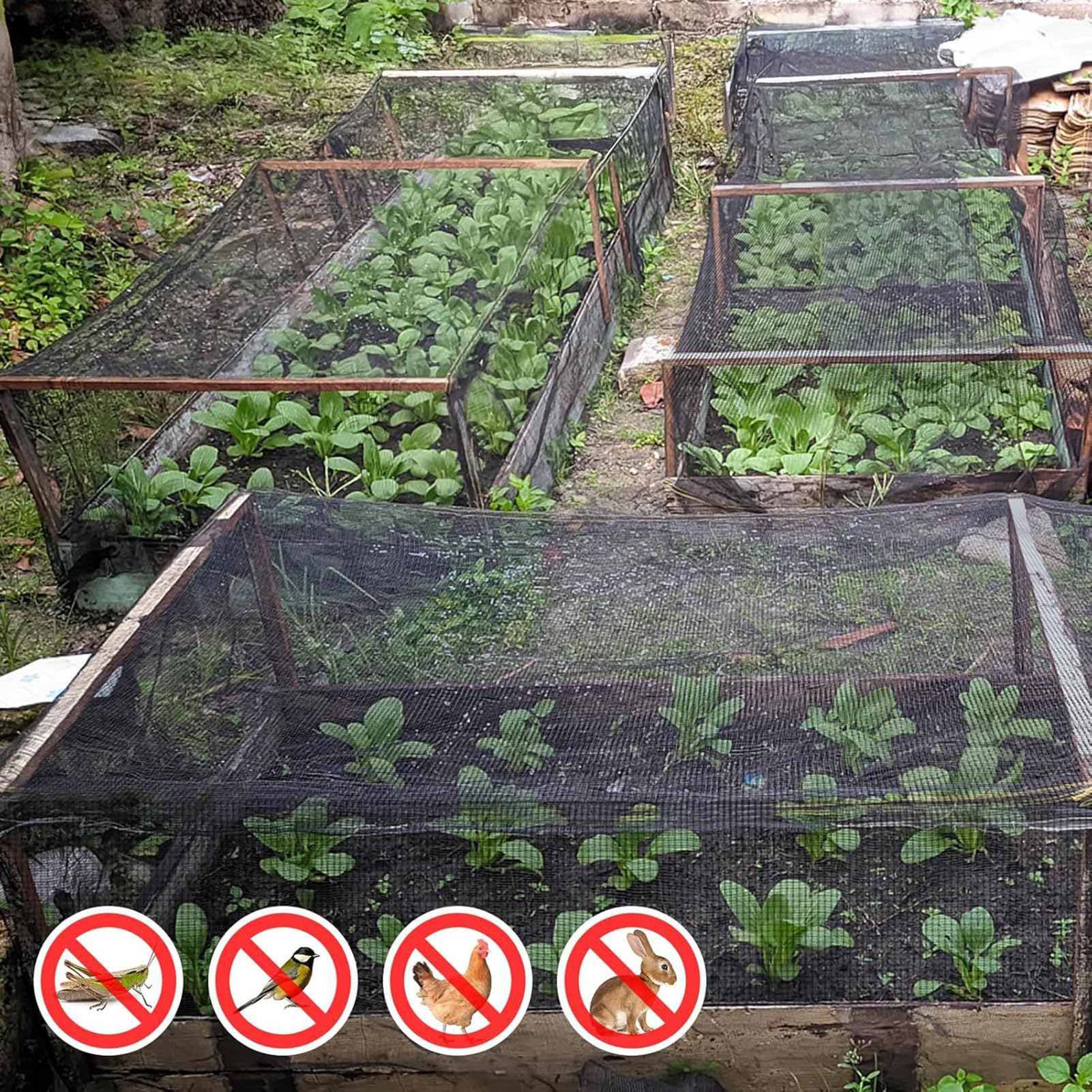Siatka ogrodowa, oddychająca siatka, odporna na barierę, siatka na rośliny, warzywa, patio, balkon, taras