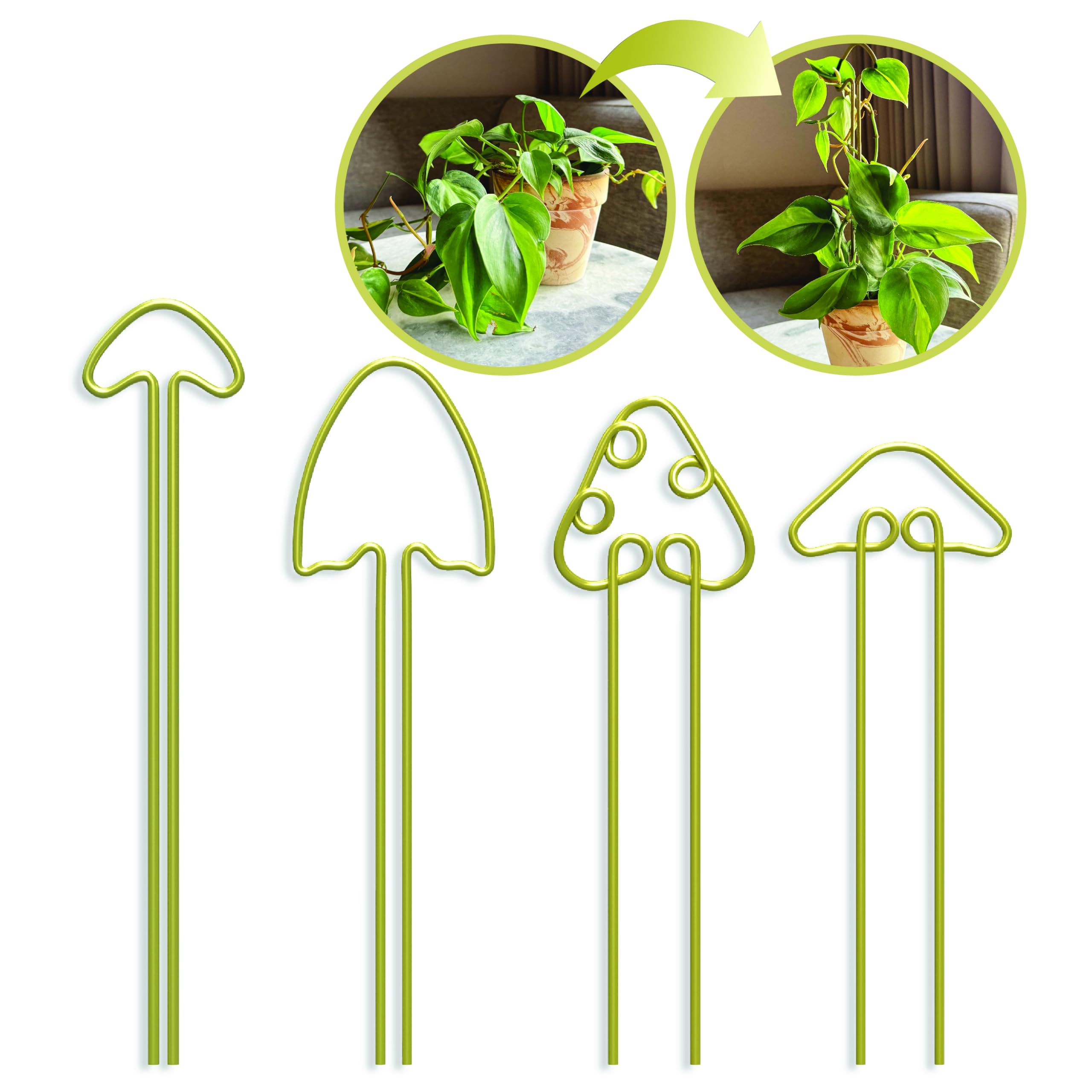 LOOPSEED Small Metal Trellis for Indoor Plants Metal Plant Stake for Climbing House Plants Plant Support for Potted Plants Orchids, Monstera, Pothos,