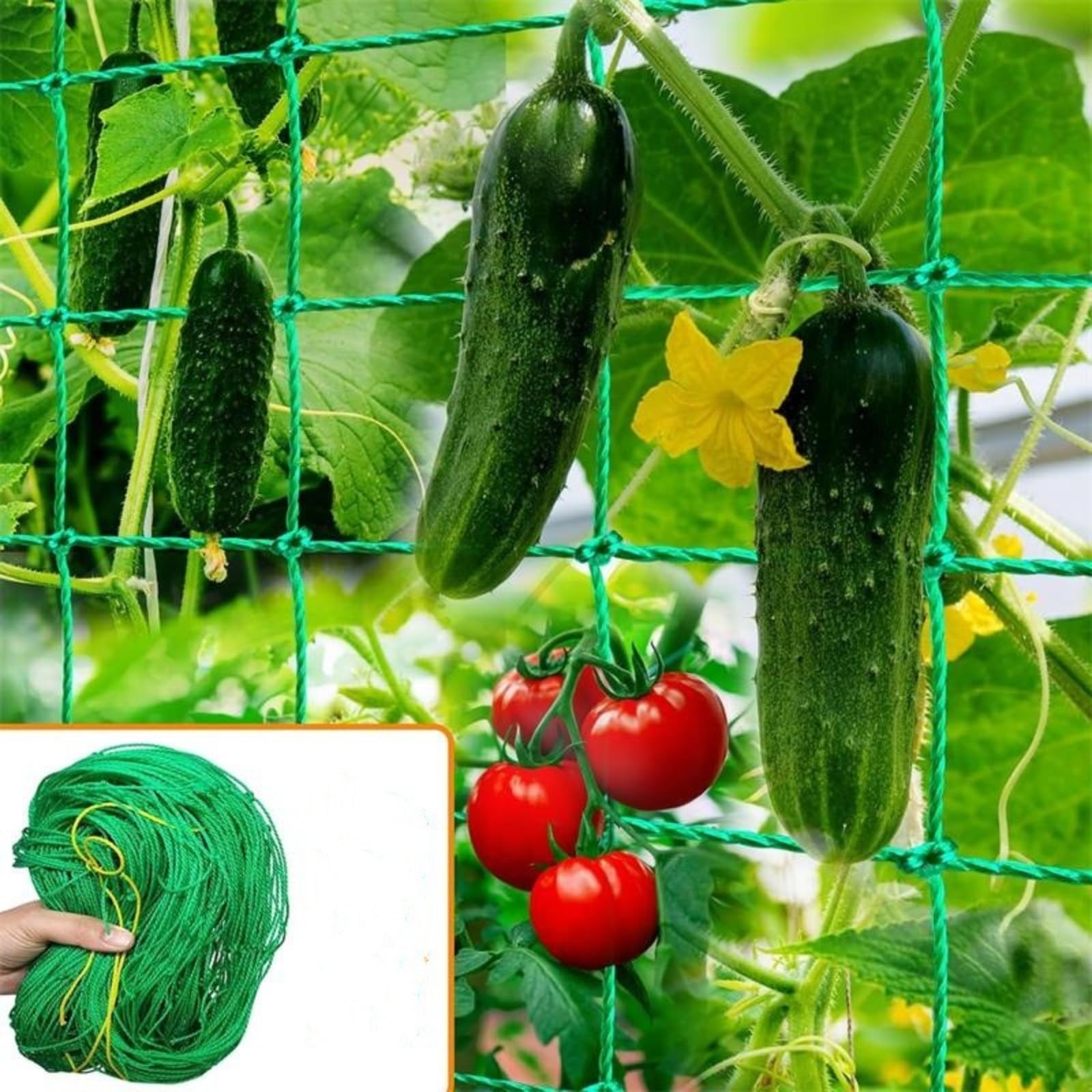 ASQzhuLIWing Plant trellis net, garden plant net, vine net, climbing trellis with plant twist, suitable for vegetables, clematis, cucumbers, grapes, tomatoes, beans, flowers and vines (2 * 5m)