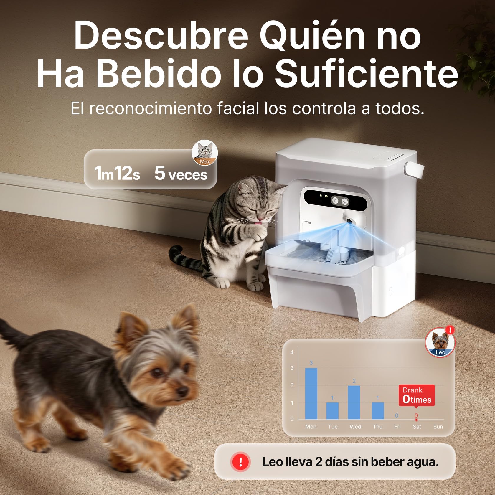 PETKIT EVERSWEET Ultra Fuente para Gatos sin Filtro, con Cámara AI, Separación de Agua Limpia y Sucia, 5L Bebedero Gatos Automático, Sensor de Movimiento, Control de App, Bandeja de Acero Inoxidable