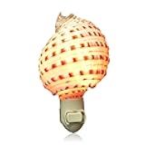 Tumbler Home Shell Night Light, Seashell Nightlight for Bathroom, Unique Coastal Night Light for Nautical, Ocean & Beach Décor