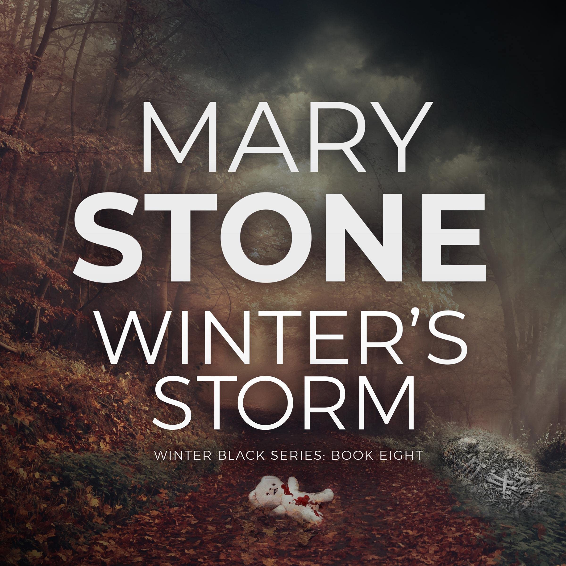 Cover art for Winter's Storm
