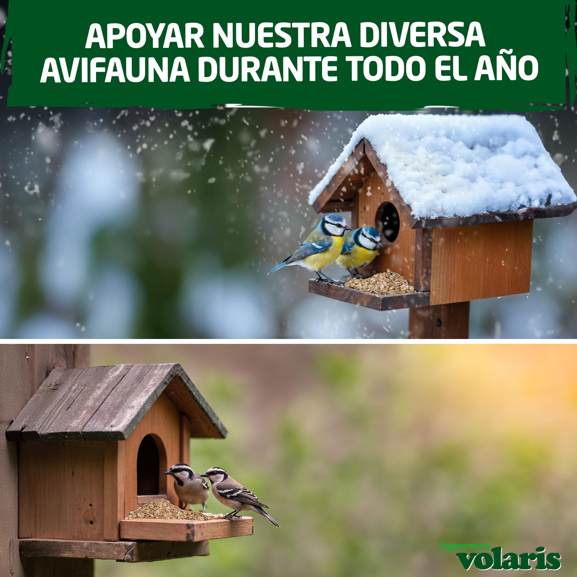 Eggersmann volaris Copos de Trigo de 2 kg – Alimento nutritivo para Aves Silvestres – Trigo Natural Ideal como alimento para Aves, Pollos y roedores – Alimento para Aves Silvestres Todo el año y Rico | Alimento nutritivo para aves silvestres – Trigo natur