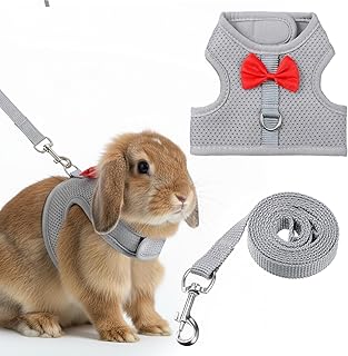 Bunny Harness and Leash Set, Cute Bow Rabbit Vest Soft Breathable Mesh Rabbit Leash and Harness Set Escape Proof Walking Gear for Rabbits, Ferrets, Kittens, Guinea Pigs, Grey M
