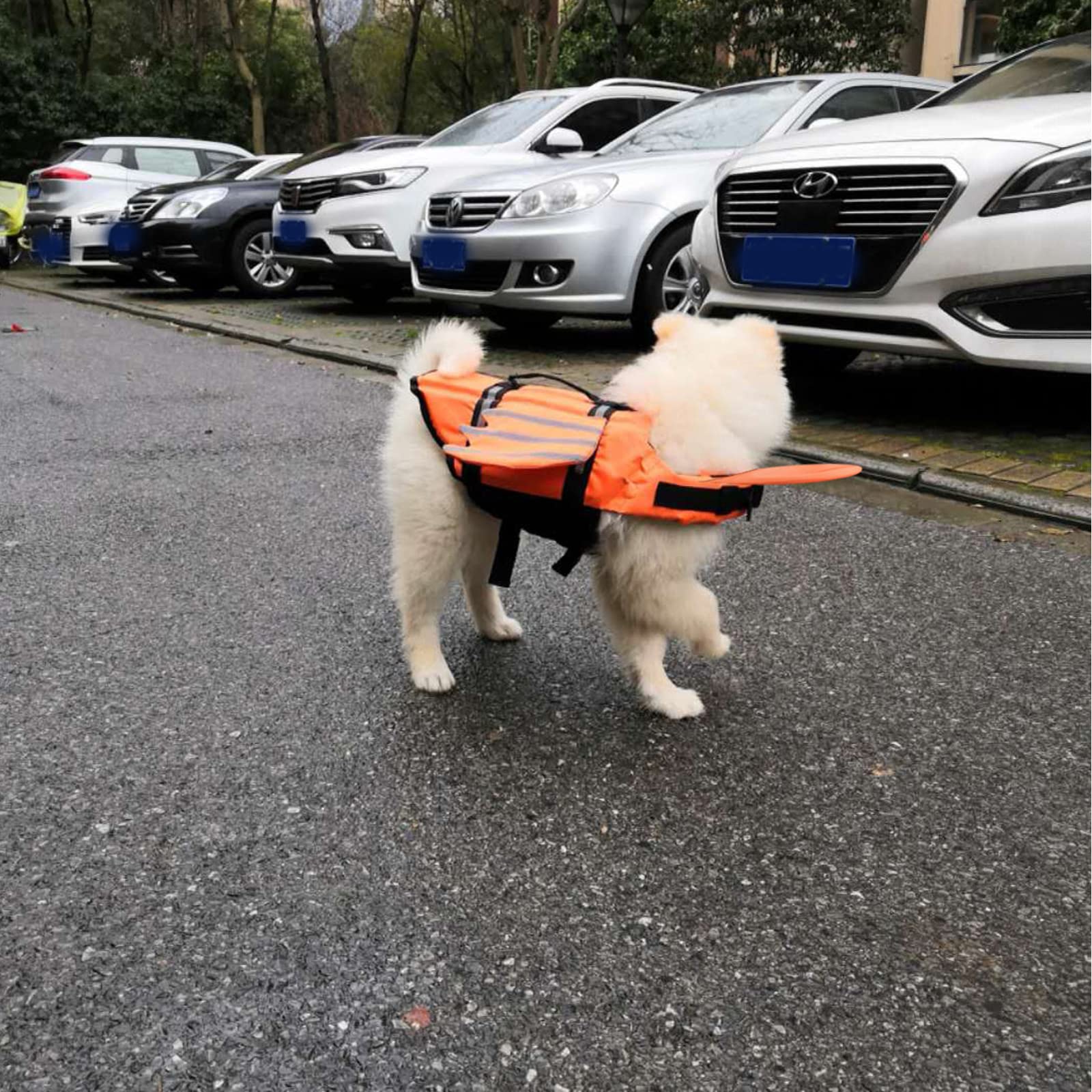 Gilet De Sauvetage pour Chien, Gilet De Sauvetage Réfléchissant Et À Poignée Solide pour La Natation, Le Canotage Et Le Sauvetage en Canoë, Gilet De Sauvetage Réglable pour Chien avec Aile,Orange,XL