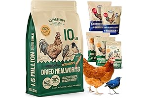 Mealworms for Happy Chicks: Premium Nutrition for Your Feathered Friends