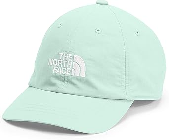the north face cap