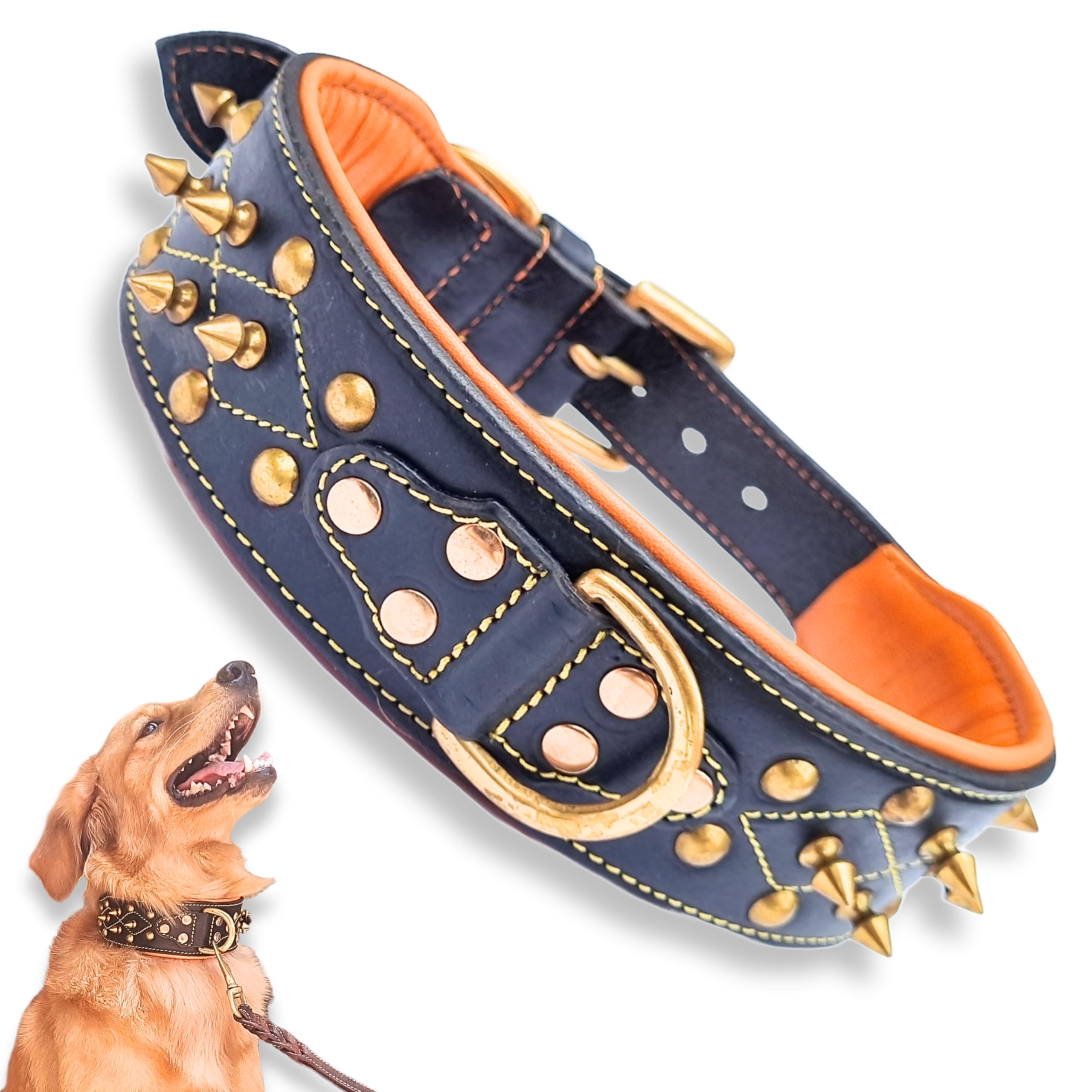 Bruby Premium Leather Dog Collar with Soft Padding, Brass Studs & Brass Spikes, Dog Neck Belt, Dog Belt, Genuine Leather Collar for Dog, 2 inch Width (Large) (B0D1G6YDS8) Amazon Price History, Amazon Price Tracker