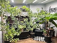 Review Image by Jeff Jeff