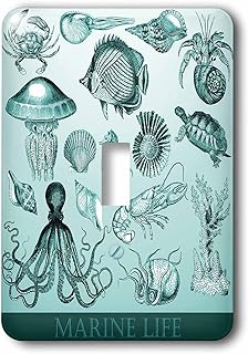 3dRose lsp_256158_1 Image of Aqua Sea Life Collage Toggle Switch, Multicolor