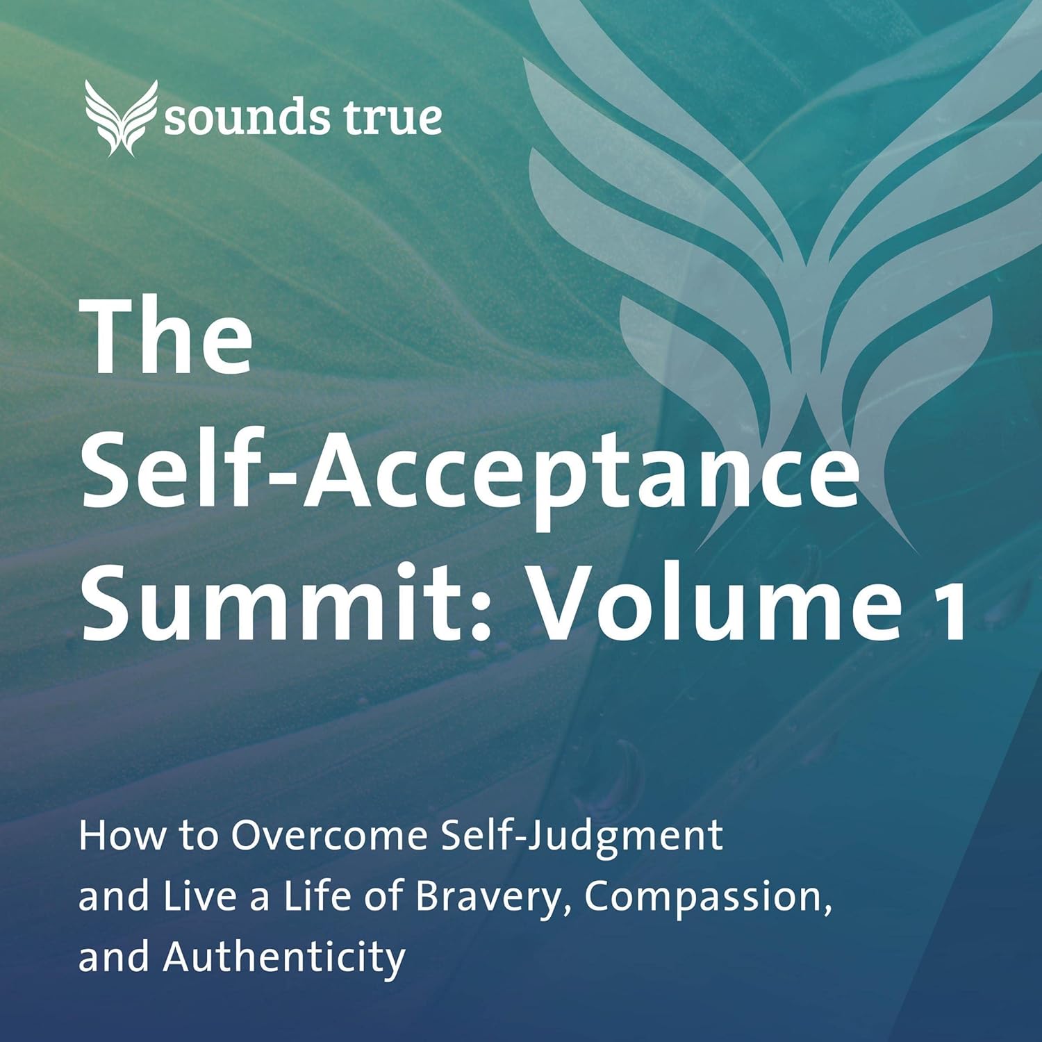 The Self-Acceptance Summit: Volume 1: How to Overcome Self-Judgment and Live a Life of Bravery, Compassion, and Authenticity    
	                
	            

                 
                        Audible Audiobook 
                  
                        – Unabridged