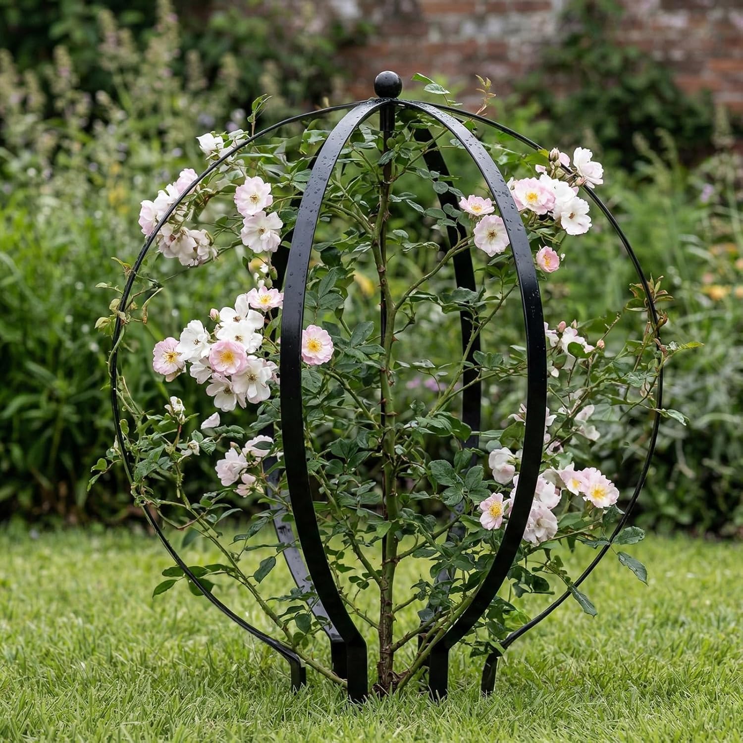 2 PCS Metal Garden Round Trellis for Climbing Plants, Large Black Powder Coated Obelisk for Roses, Vines, Flowers, Patio Doorway Garden Decor Indoor Outdoor, Easy Assembly (25.2" x 21.3")