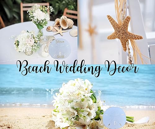 Miniatura 3 de Juego de estrellas de mar para decoración de estrellas de mar estrella de mar grande de 6 a 7 pulgadas paquete de 2 empaquetado con amor océano