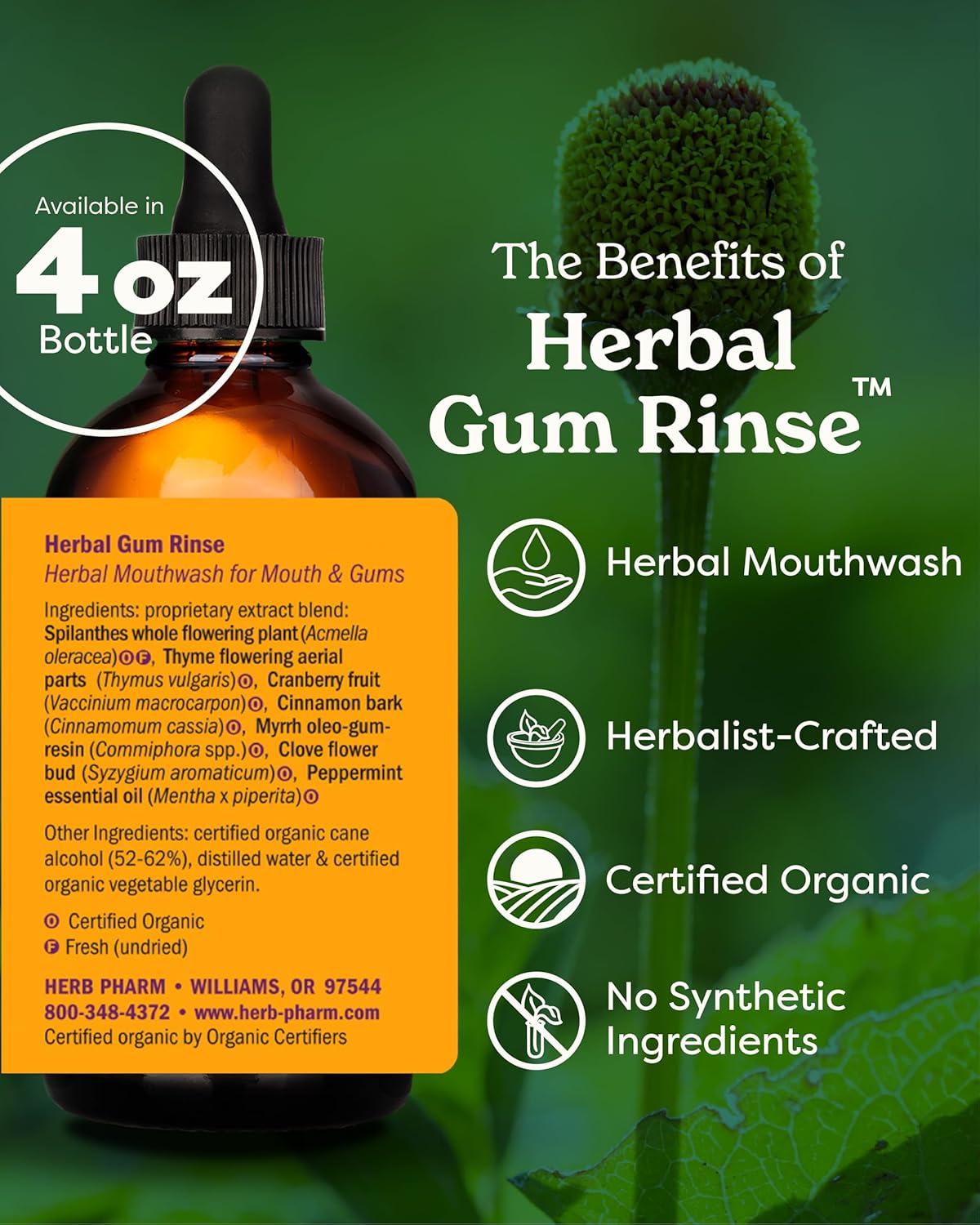 Herb Pharm Gum Guardian Herbal Mouthwash for Healthy Mouth and Gums - 4 Ounce