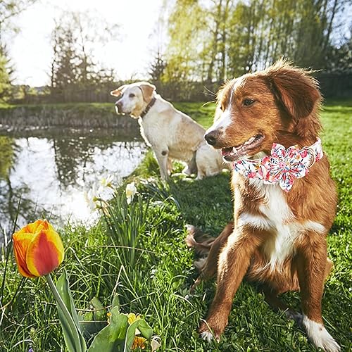 Miniatura 74 de Lionheart glory Collar de perro con bandera estadounidense, collar de flores para perro del 4 de julio, resistente y ajustable, collar patriótico