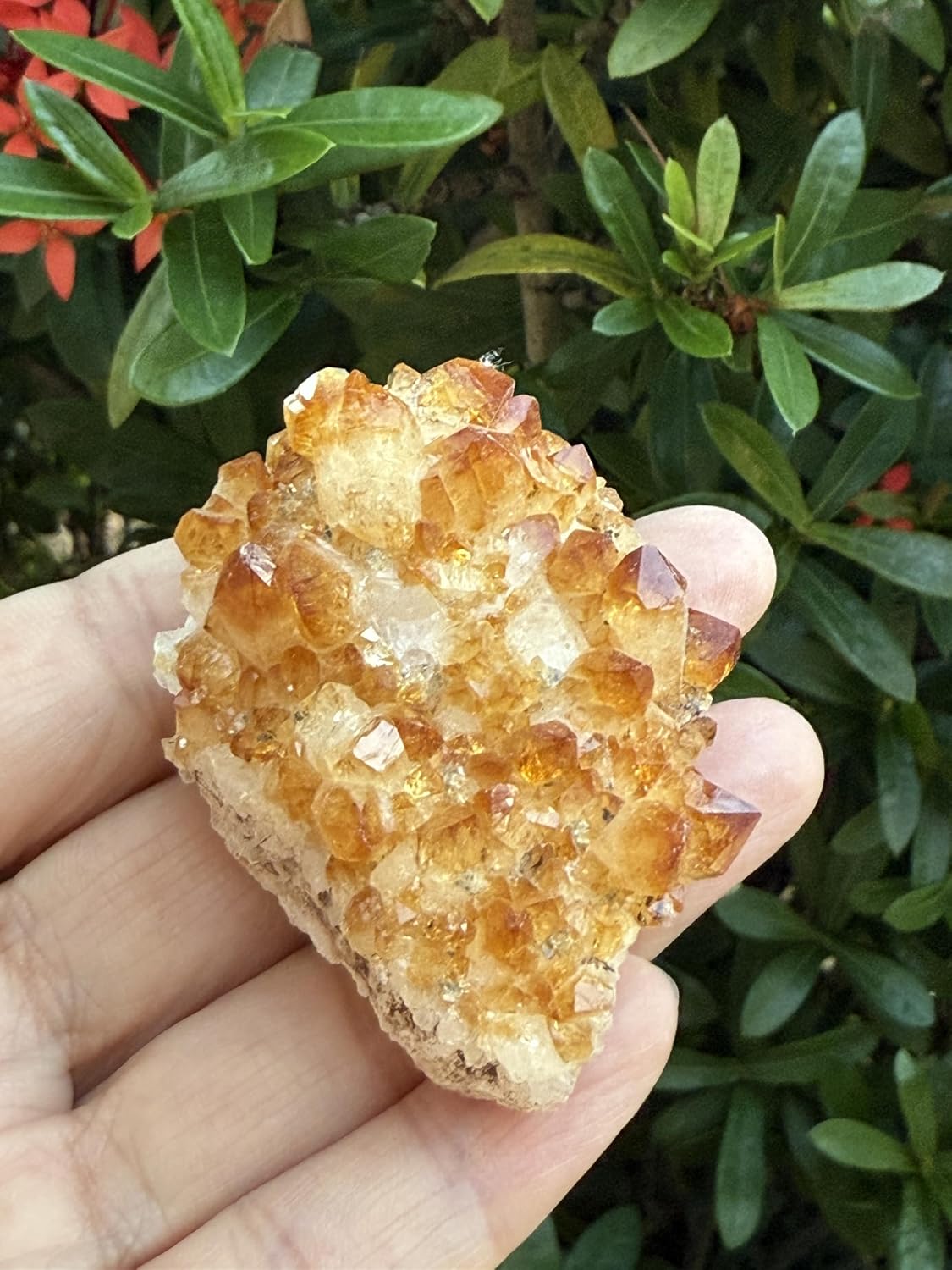GAF TREASURES Large Raw Citrine Cluster, Citrine Rock, Grade A Quality, 2" - 3" approx, 1 Piece