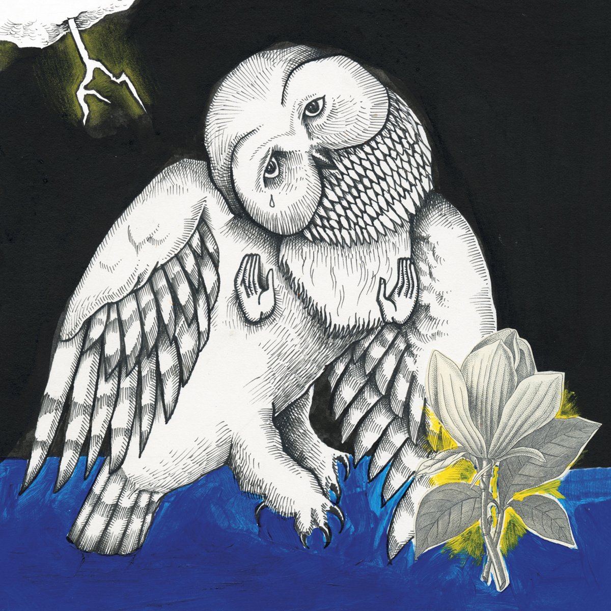 Magnolia Electric Co.(Deluxe Reissue)