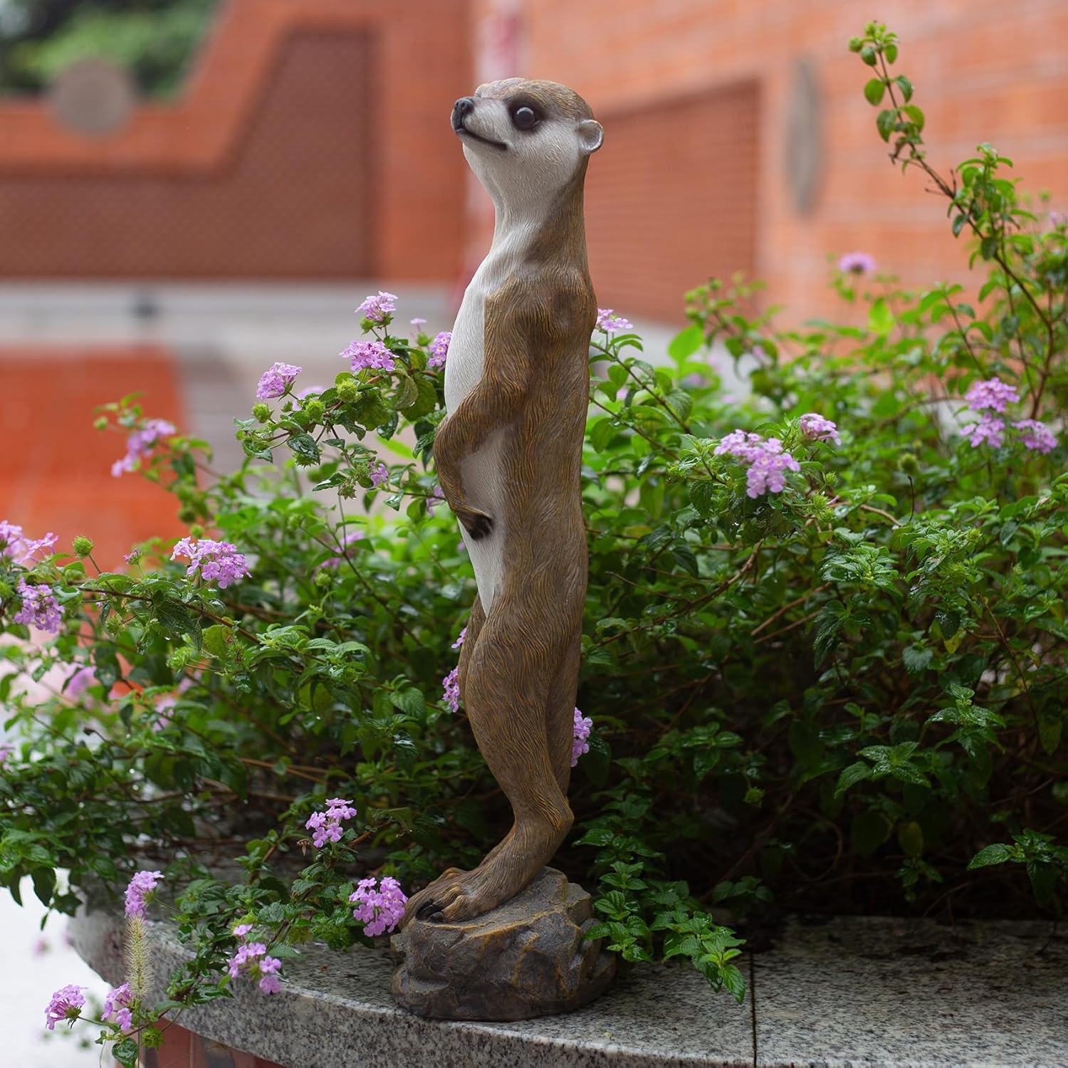 19.2 Inch Height,Outdoor Meerkat Sculpture Garden Decoration Standing Outdoor Sculpture, Weather-Resistant Resin, Brown