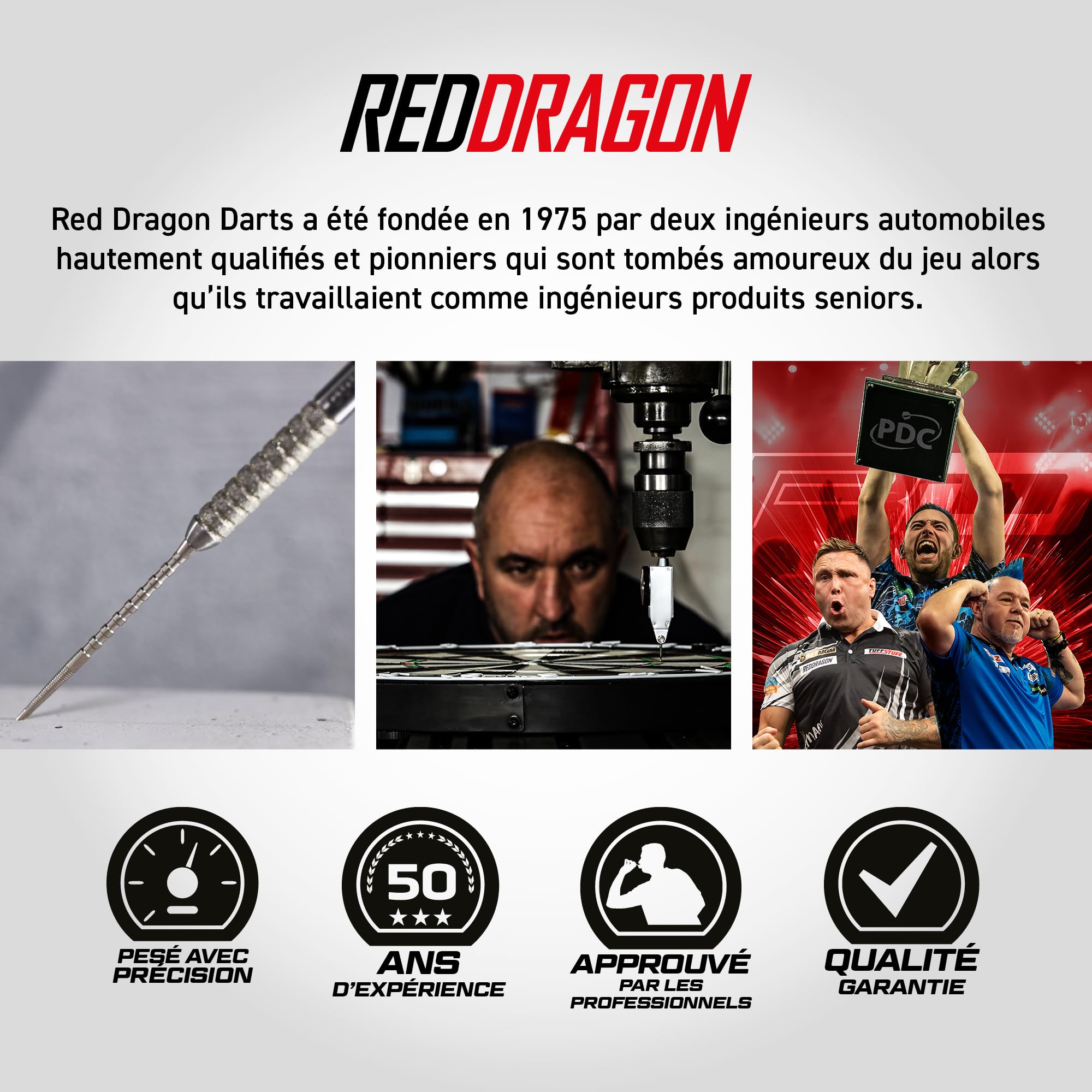 Red Dragon | Gian Van Veen Tournée Édition Original Set de Fléchettes 21g | 90% Tungstène | Switch Points par Winmau | Ailette/Fût Intégré Nitro Flite | Ailettes et Fûts de Fléchettes