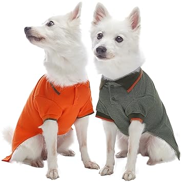 Blueberry Pet Pack of 2 Back to Basic Cotton Blend Dog Polo Shirts in Orange and Olive Green, Back Length 10