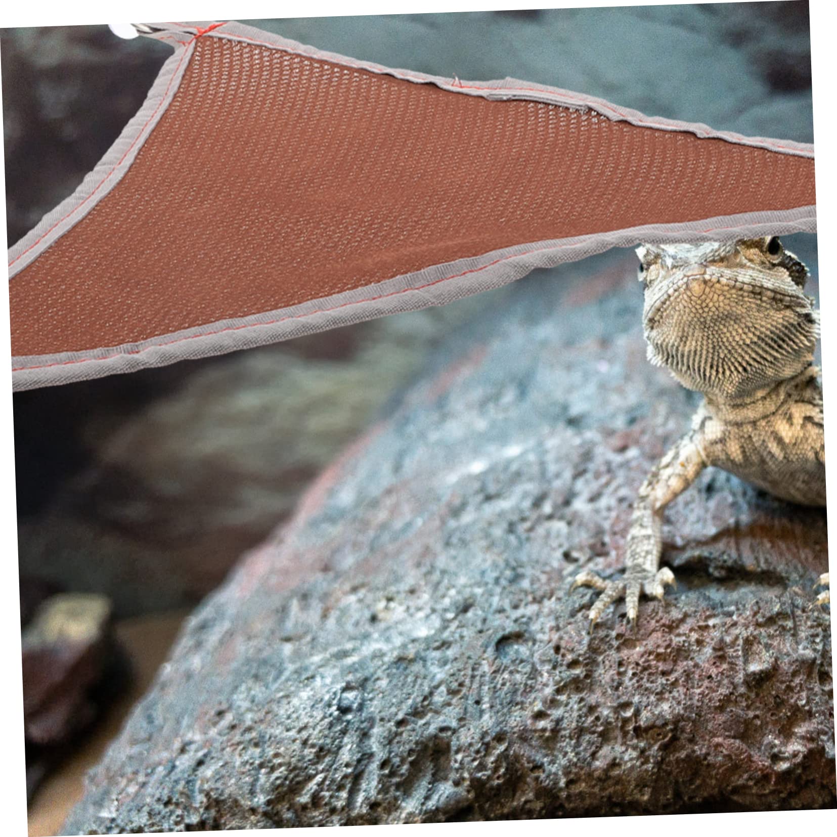 DOITOOL 5pezzi Hammock Per Rettili Rete Traspirante Letto Per Lucertole e Giocattolo Per Piccoli Rettili Facile Da Pulire e Resistente Accessorio Per Terrari