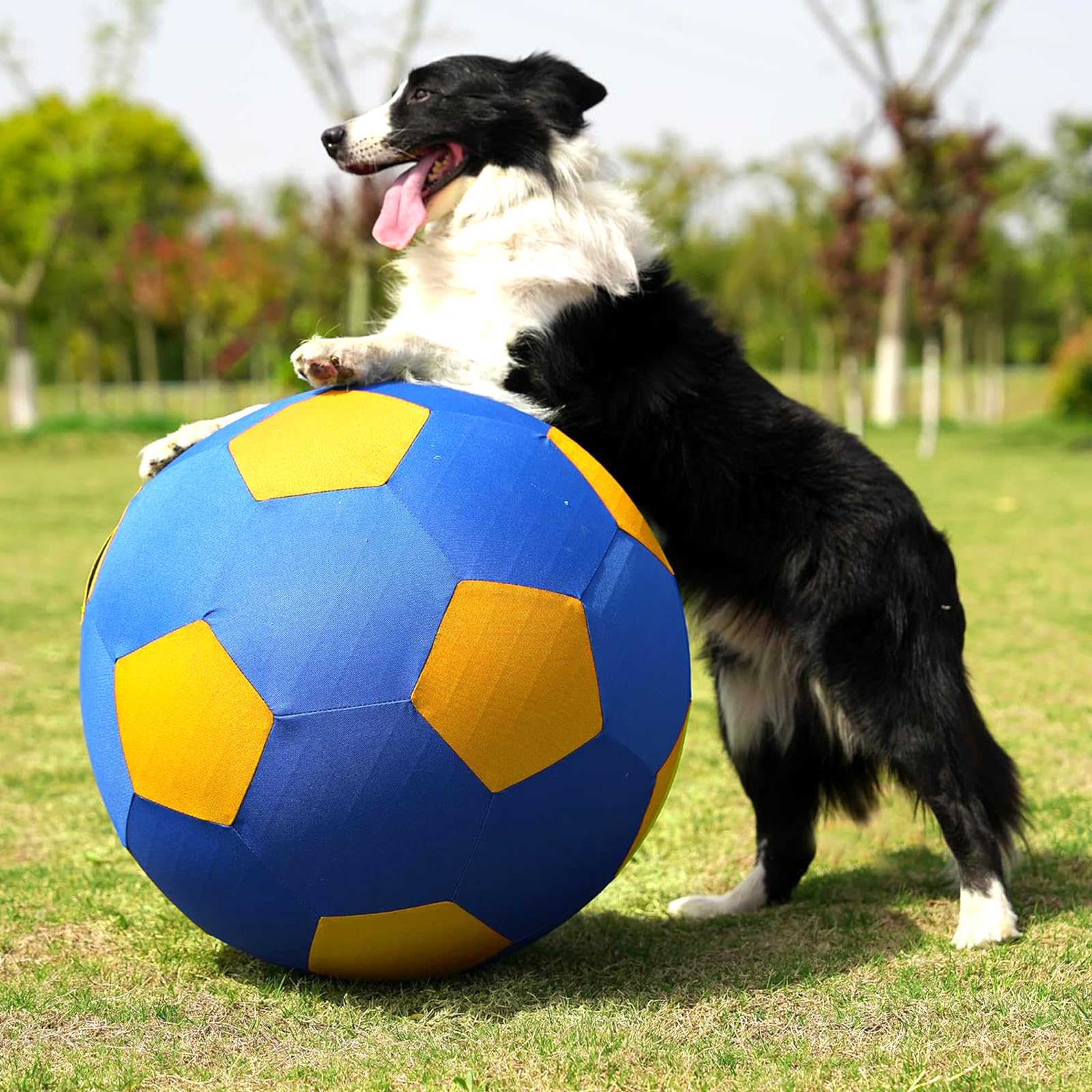 Balle de chapeau avec poignée robuste et pompe, jouet interactif à double couche pour chiens de berger Border Collie (55 cm, jaune/bleu)